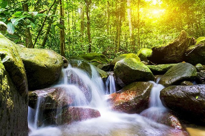 A Rendezvous With Nature - Templer Park and Kanching Waterfall Tour - Additional Information