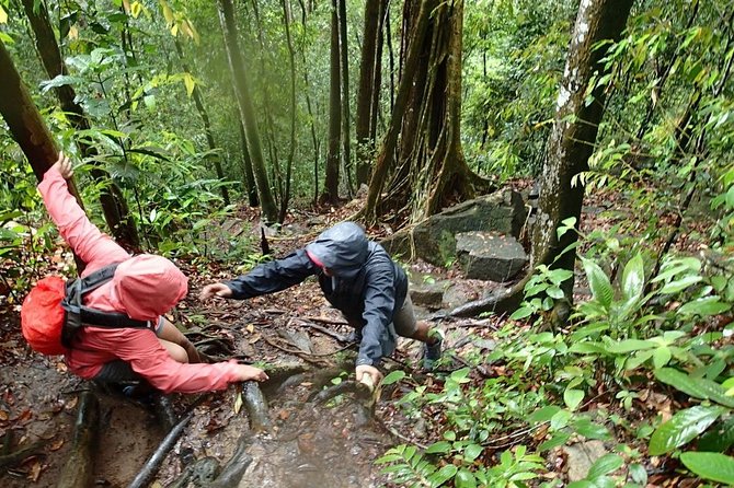 A Rendezvous With Nature - Templer Park and Kanching Waterfall Tour - Reviews