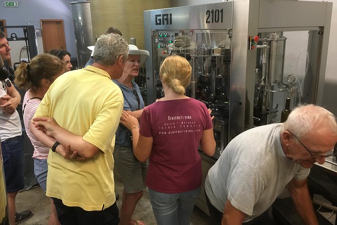 A Sample Of Wine, A Sample Of Istria - A Short But Fulfilled Program - Cancellation Policy