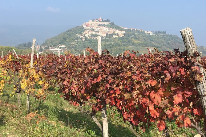 A Sample Of Wine, A Sample Of Istria - A Short But Fulfilled Program - Additional Considerations