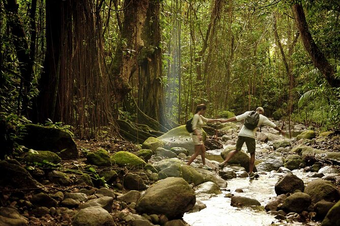 A Scenic, Historical and Guided Rainforest Tour - About Your Stay