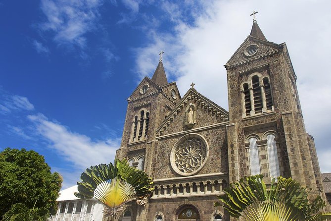 A Scenic, Historical and Guided Rainforest Tour - Booking Information