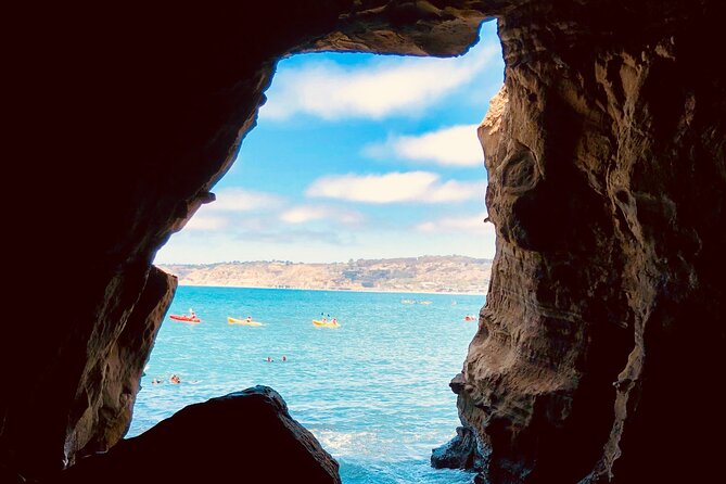 A Seaside Stroll: La Jollas Hidden Treasures Self-Guided Tour - Marine Life Encounters