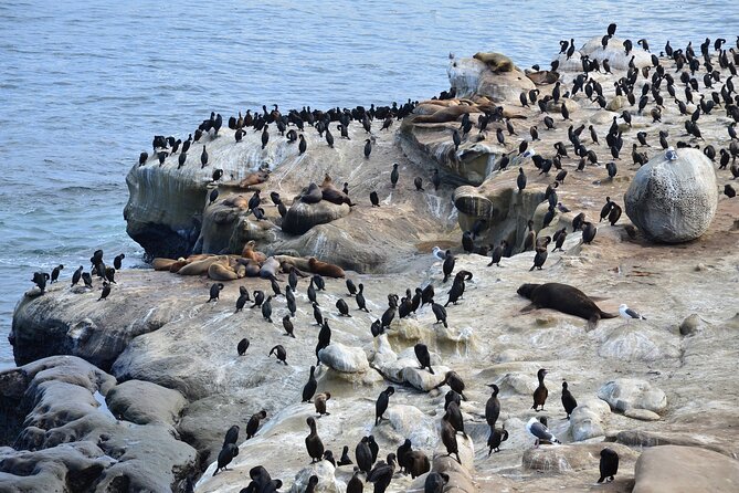 A Seaside Stroll: La Jollas Hidden Treasures Self-Guided Tour - Unraveling Local History