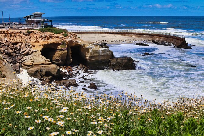 A Seaside Stroll: La Jollas Hidden Treasures Self-Guided Tour - Traveler Experiences and Feedback