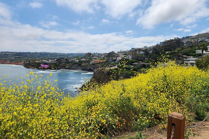 A Seaside Stroll: La Jollas Hidden Treasures Self-Guided Tour - Traveler Experiences and Feedback