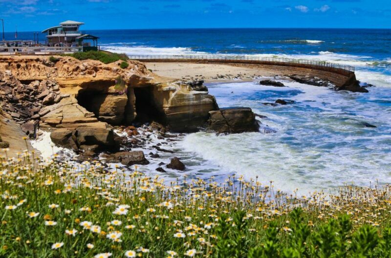 A Seaside Stroll: La Jolla's Hidden Treasures Walking Tour - Who Will Love This Tour?