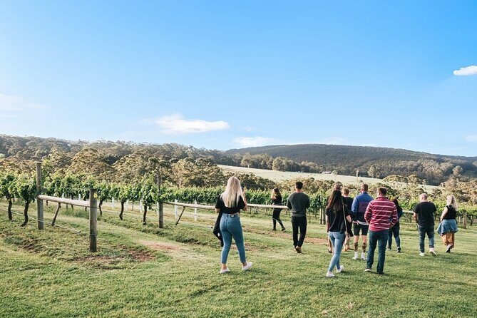 A Sense of Place a Wine Tasting Experience in Denmark - What Is the "A Sense of Place" Experience?