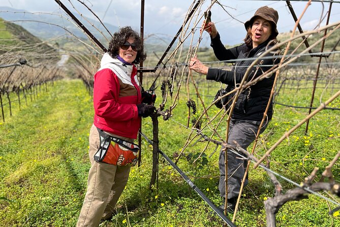 A Sensory Journey of Cretan Wines - Customizing Your Wine Tasting Experience