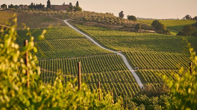 A Sip-By-Sip Tour of 3 Boutique Family Rioja Wineries - Award-Winning Medieval Village