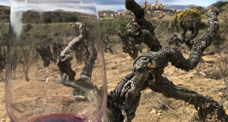 A Sip-By-Sip Tour of 3 Boutique Family Rioja Wineries - Tapas Lunch and Wine