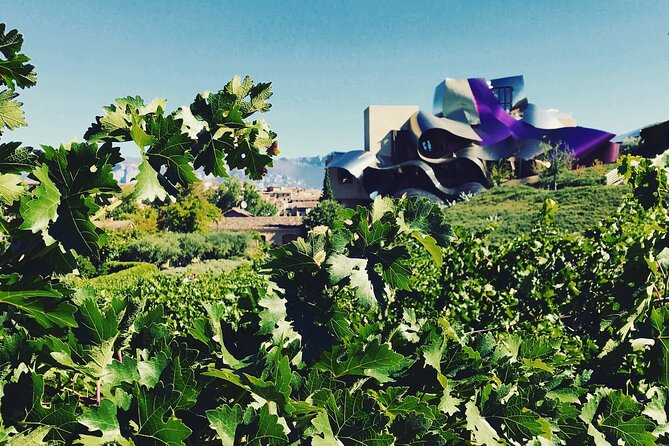A Sip-By-Sip Tour of 3 Boutique Rioja Family Wineries (Private Tour With Lunch) - Pricing Information