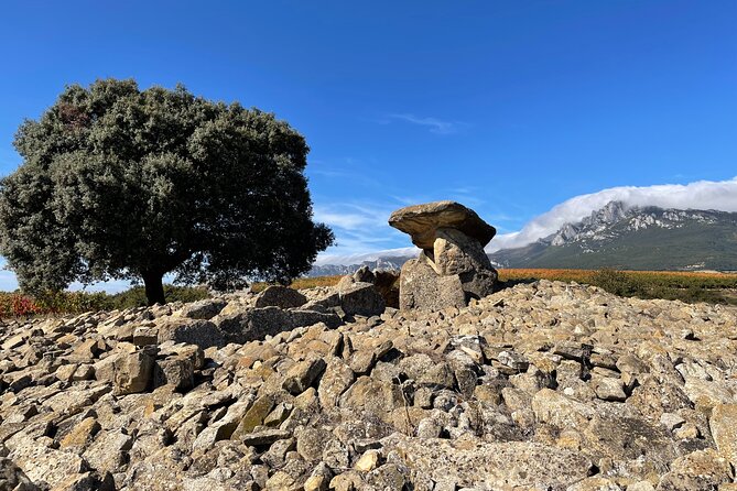 A Sip-By-Sip Tour of 3 Boutique Rioja Family Wineries (Private Tour With Lunch) - Guest Reviews