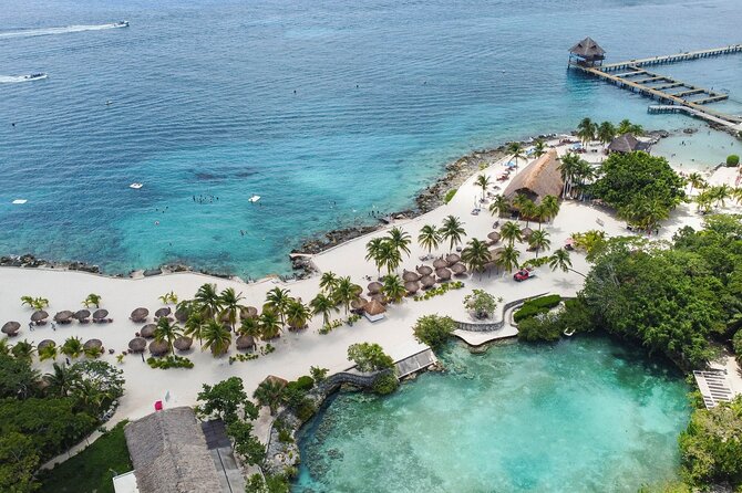 A Snorkeling Adventure in a Glass-Bottom Boat at Cozumels Reef. - Review Highlights