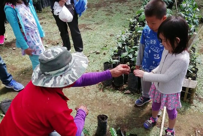A Taste of Aquiares - 2 Hours Coffee Tour - Booking Information