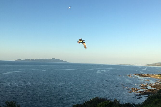 A Taste of Kapiti - Kapiti Foodie Delights Tour - Accessibility Information