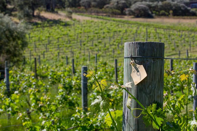 A Taste of Margaret River Seaplane Tour - Dietary Requirements