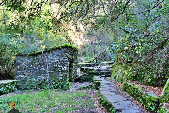 A Tour Between Cascades and Schist Villages, Piodão - Waterfalls and Riverside Relaxation