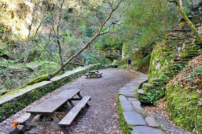 A Tour Between Cascades and Schist Villages, Piodão - Personalized Experience