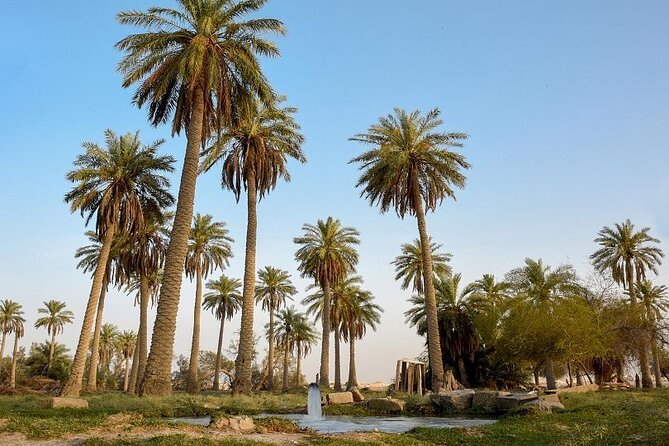 A Tour in Al Ahsa the Largest Oasis in the World - Experiencing Local Culture