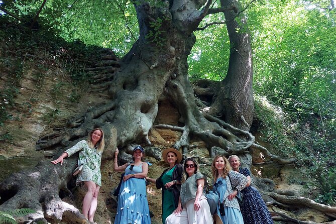 A Tour of Glastonbury, Guided by the Trees. - Exploring Glastonbury Tor