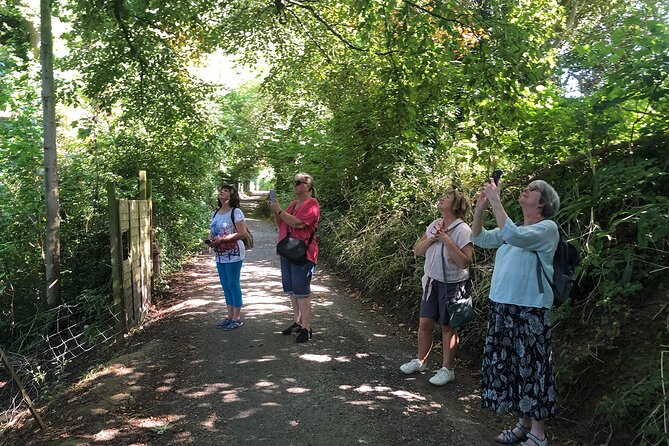 A Tour of Glastonbury, Guided by the Trees. - Glastonburys Unique Holy Thorn