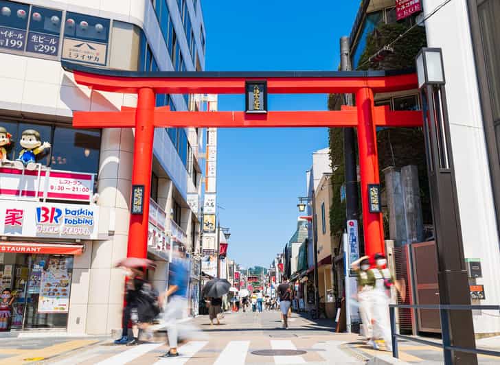 A Tour to Eat up All the Delicacies of Japan in Kamakura - Unearthing Favorite Souvenirs in Kamakura