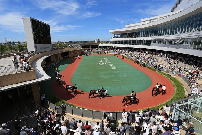 A Tour to Enjoy Japanese Official Gambling (Horse Racing, Bicycle Racing, Pachinko) - Dinner and Alcoholic Beverages