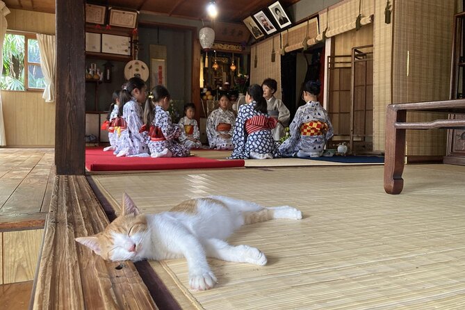 A Traditional Tatami Room Dance by Sumiyoshi Shachu Kagoshima - Key Points