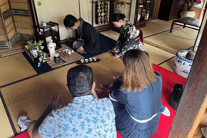 A Traditional Tatami Room Dance by Sumiyoshi Shachu Kagoshima - Reservation Details and Meeting Logistics