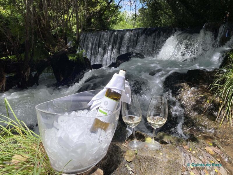 A Trip Through the "Vinhos Verdes" of the Basto Region - Key Points