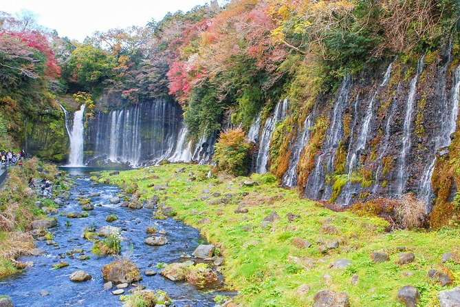 A Trip to Enjoy Groundwater and Nature Behind Mt. Fuji - What to Expect