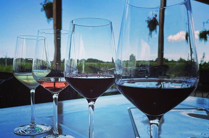 A Twilight Wine Adventure with 3-Course Dinner - Final Thoughts