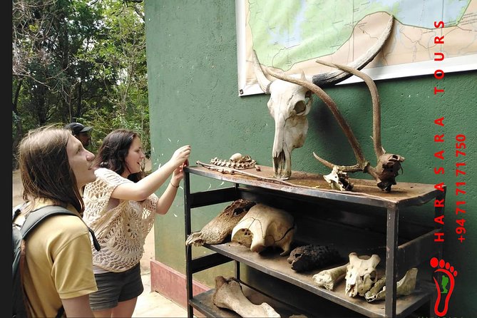 A Udawalawa Park Safari, Tour From Colombo/Galle- (All Inclusive) - Pickup and Scheduling