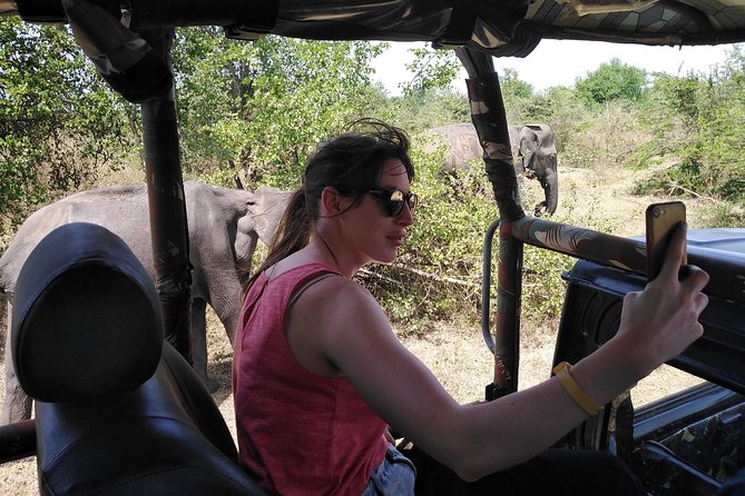 A Udawalawa Park Safari, Tour From Colombo/Galle- (All Inclusive) - Explore Udawalawe National Park