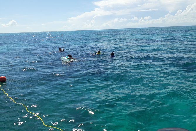 A Unique Private Snorkel Tour of Key Largo - Meeting and Pickup
