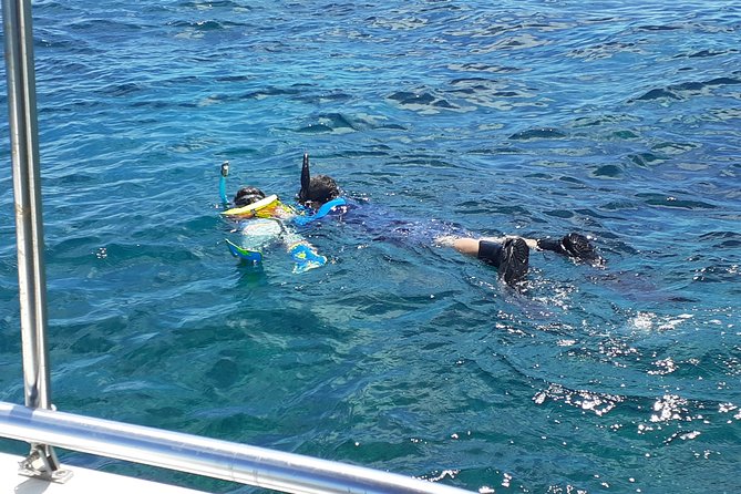 A Unique Private Snorkel Tour of Key Largo - Learning About Marine Life