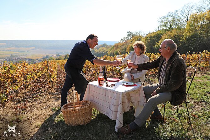A Unique Sensory Experience in the Vineyards - Tour Highlights