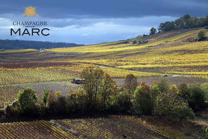 A Unique Sensory Experience in the Vineyards - Additional Information