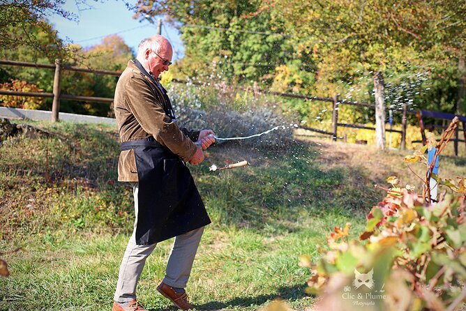 A Unique Sensory Experience in the Vineyards - Champagne Tasting Highlights