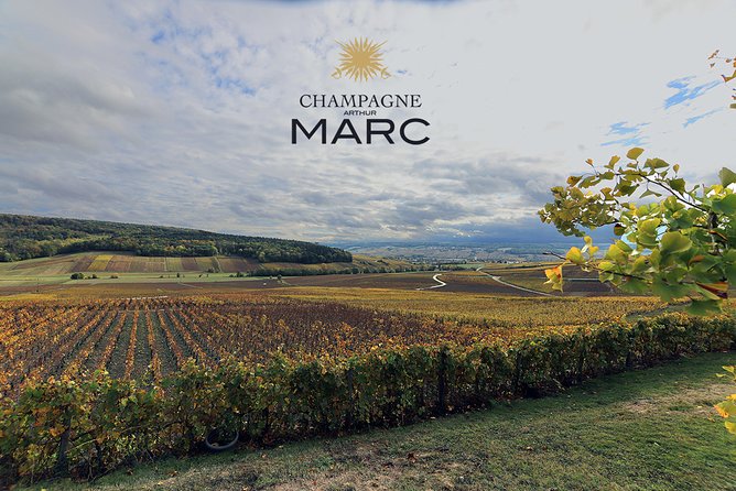 A Unique Sensory Experience in the Vineyards - Culinary Delights