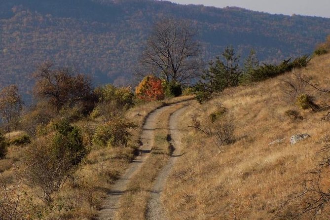 A Walking Over the Jurassic Sea: One Day Trip From Sofia - Trip Overview