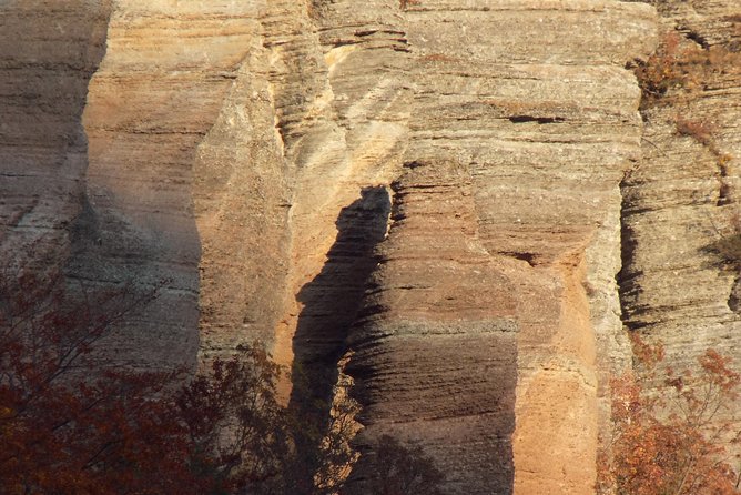 A Walking Over the Jurassic Sea: One Day Trip From Sofia - Tour Requirements