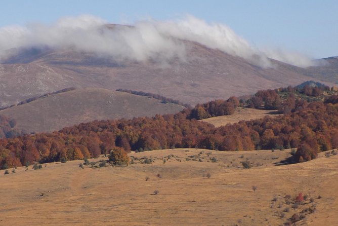 A Walking Over the Jurassic Sea: One Day Trip From Sofia - What to Expect