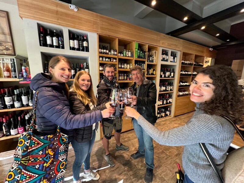 A Walking Tour of the Fascinating History of Mendoza Wine - Key Points