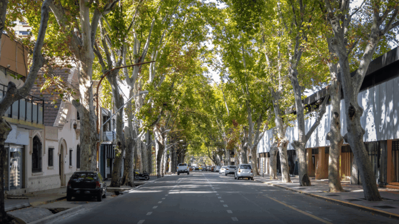 A Walking Tour of the Fascinating History of Mendoza Wine - Visiting Mendocino Craft Market