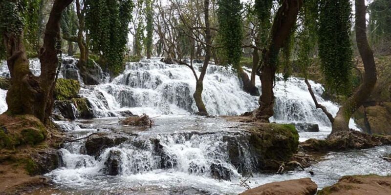 A Week Around Fez - Chefchaouen Day Trip
