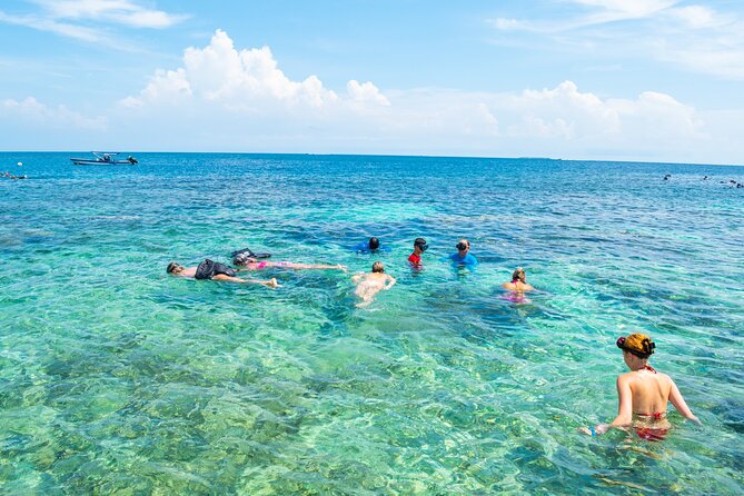 A Whole Day to the 5 Rosario Islands With Snorkeling and Plankton - Health and Safety Considerations