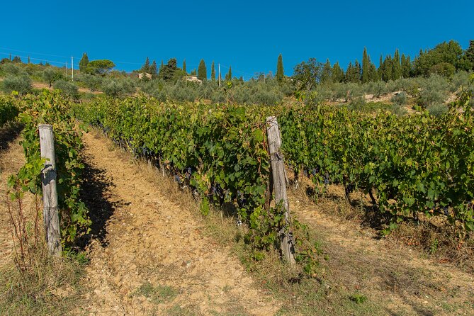 A Wine Bliss in Montalcino, Montepulciano, Val Dorcia - Indulging in Spa Relaxation