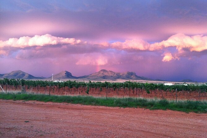 A Wine Tasting Experience in the Vineyards of the Desert - Tasting Flights at Local Wineries